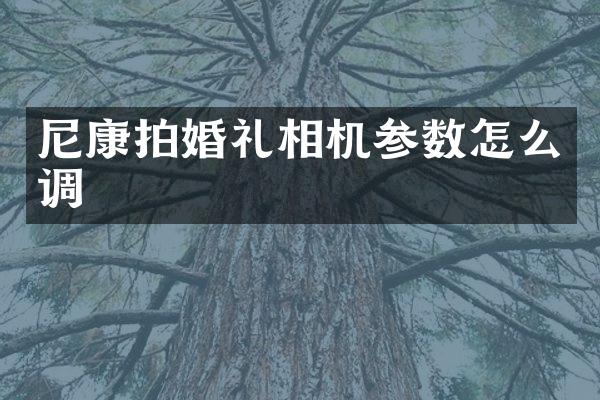 尼康拍婚礼相机参数怎么调