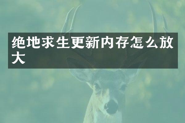 绝地求生更新内存怎么放大