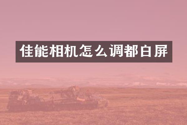 佳能相机怎么调都白屏