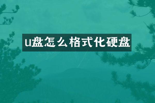 u盘怎么格式化硬盘