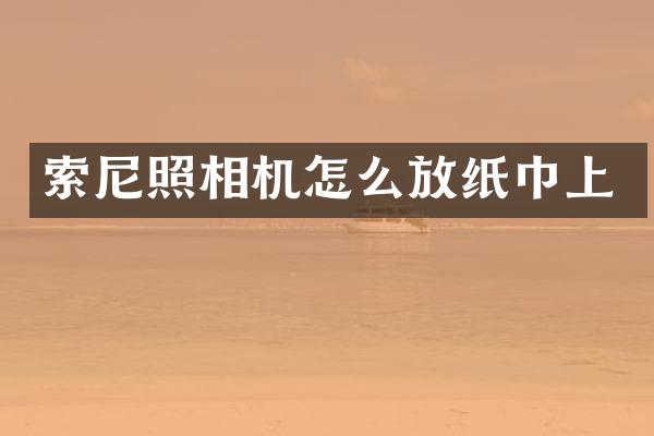 照相机怎么放纸巾上
