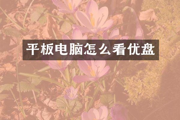 平板电脑怎么看优盘