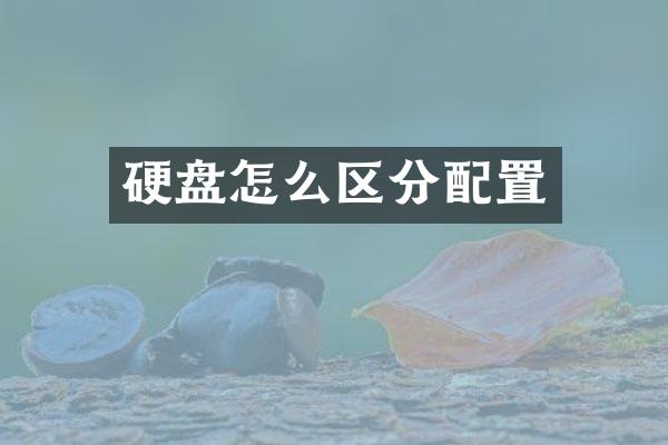 硬盘怎么区分配置