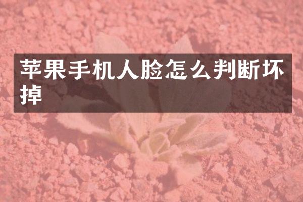 苹果手机人脸怎么判断坏掉