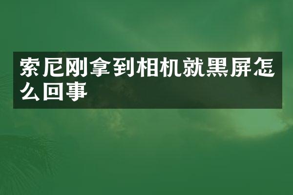 刚拿到相机就黑屏怎么回事