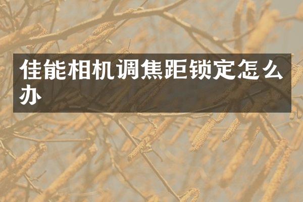 佳能相机调焦距锁定怎么办