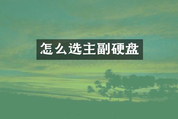 怎么选主副硬盘