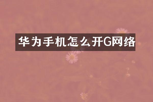 华为手机怎么开G网络