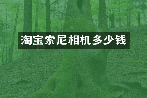 淘宝相机多少钱