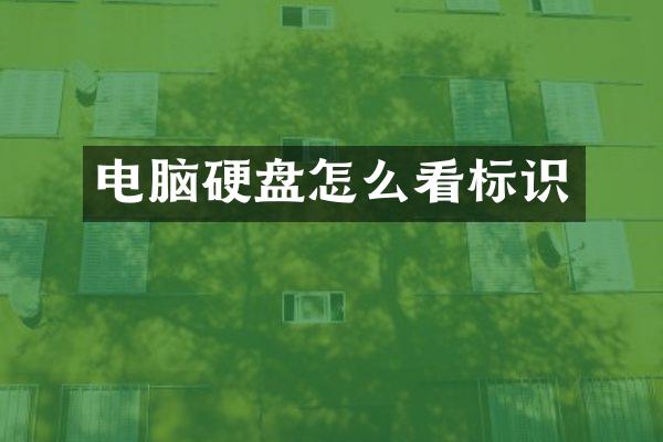 电脑硬盘怎么看标识