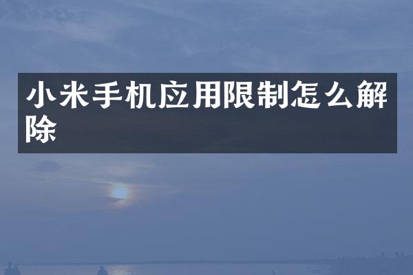 小米手机应用限制怎么解除