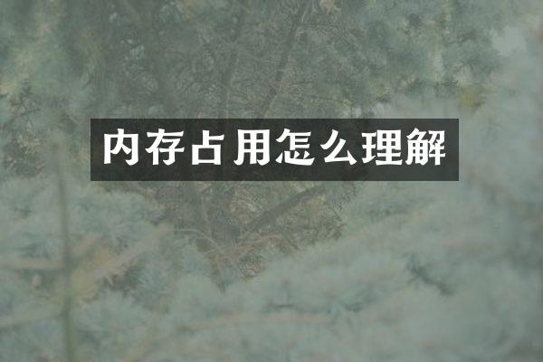 内存占用怎么理解