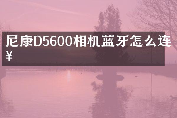 尼康D5600相机蓝牙怎么连接