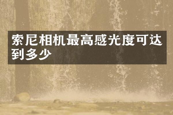 相机最高感光度可达到多少