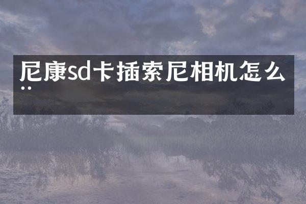 尼康sd卡插相机怎么用