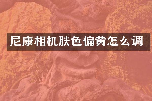 尼康相机肤色偏黄怎么调