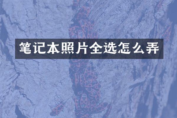 笔记本照片全选怎么弄