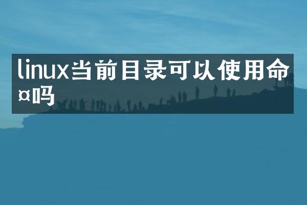 linux当前目录可以使用命令吗