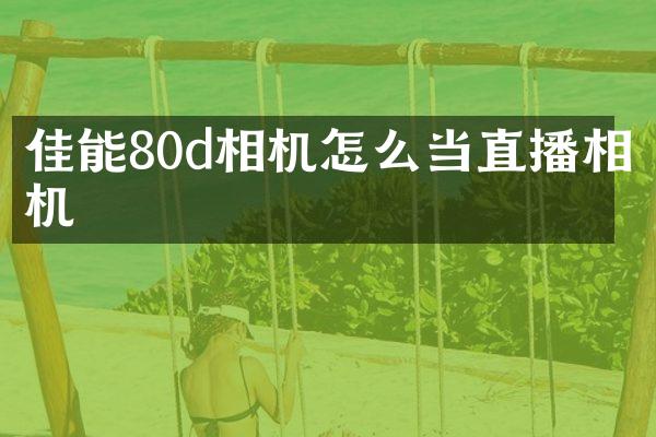 佳能80d相机怎么当直播相机