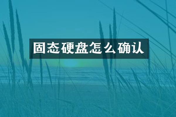 固态硬盘怎么确认