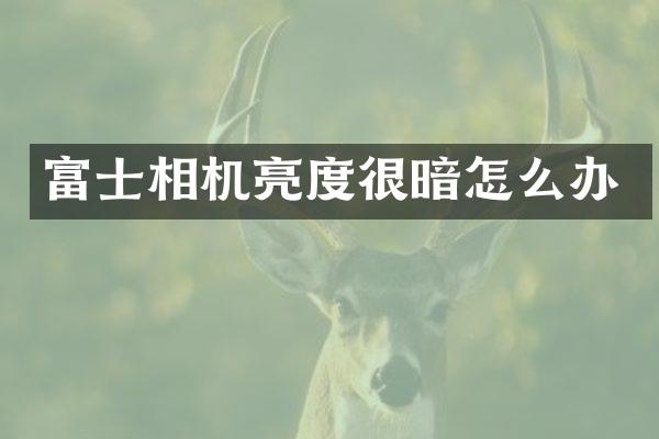 富士相机亮度很暗怎么办