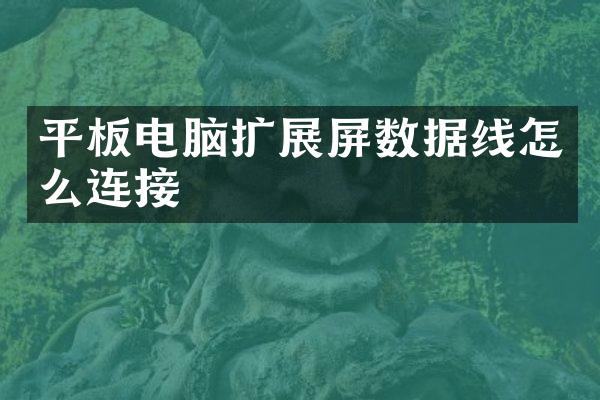 平板电脑扩展屏数据线怎么连接
