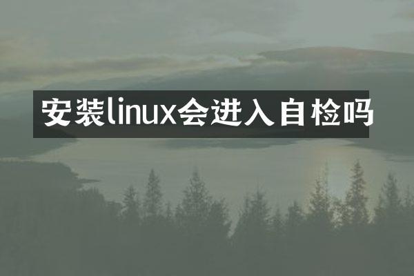 安装linux会进入自检吗