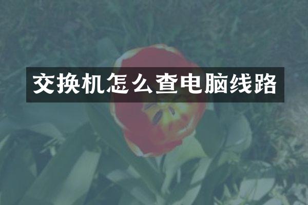 交换机怎么查电脑线路