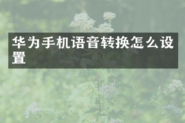 华为手机语音转换怎么设置