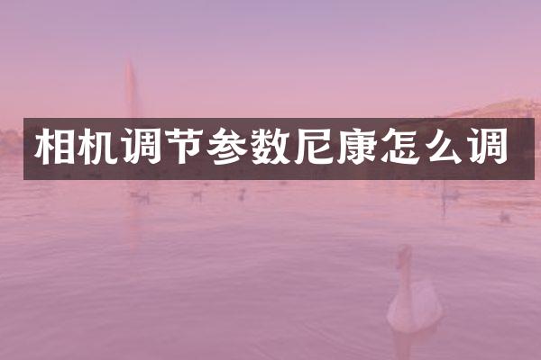 相机调节参数尼康怎么调