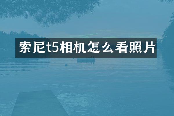 t5相机怎么看照片
