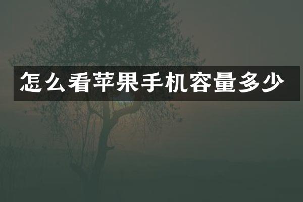 怎么看苹果手机容量多少