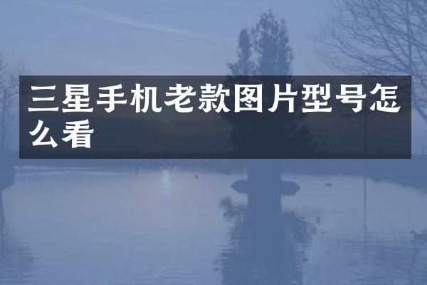 三星手机老款图片型号怎么看