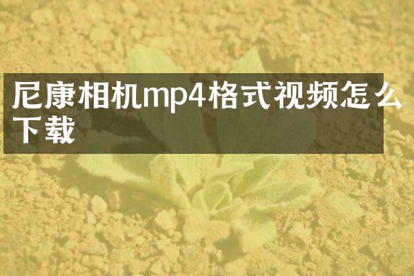尼康相机mp4格式视频怎么下载