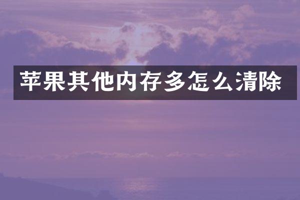 苹果其他内存多怎么清除