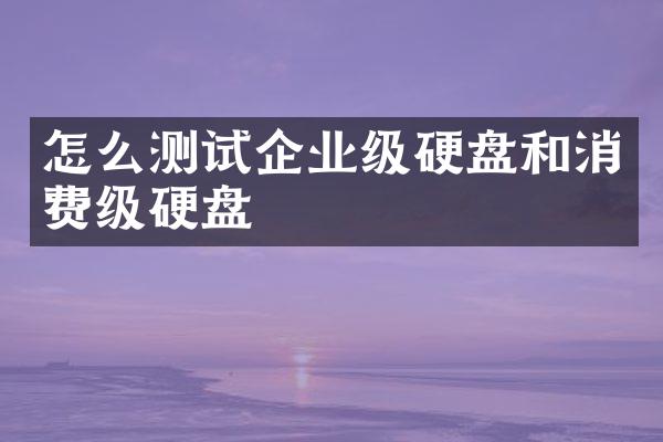 怎么测试企业级硬盘和消费级硬盘
