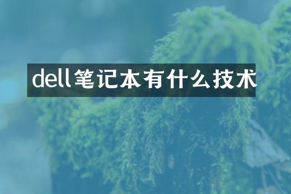 dell笔记本有什么技术
