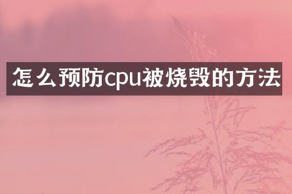 怎么预防cpu被烧毁的方法