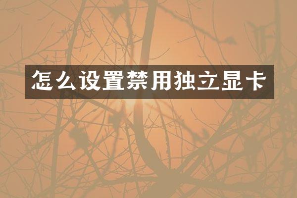 怎么设置禁用独立显卡