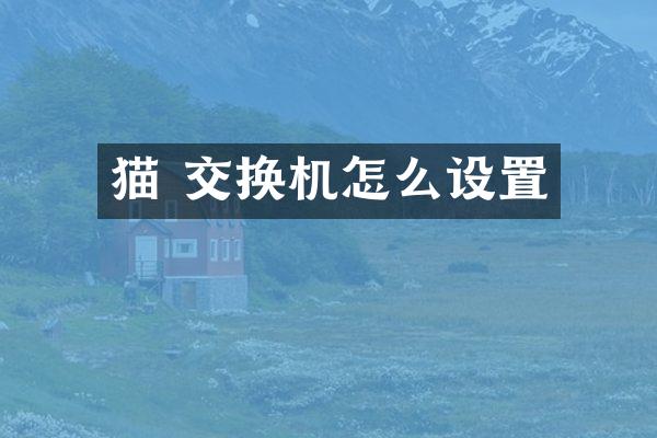 猫 交换机怎么设置