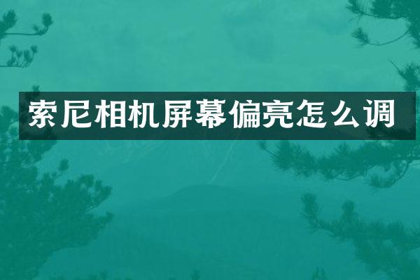 相机屏幕偏亮怎么调