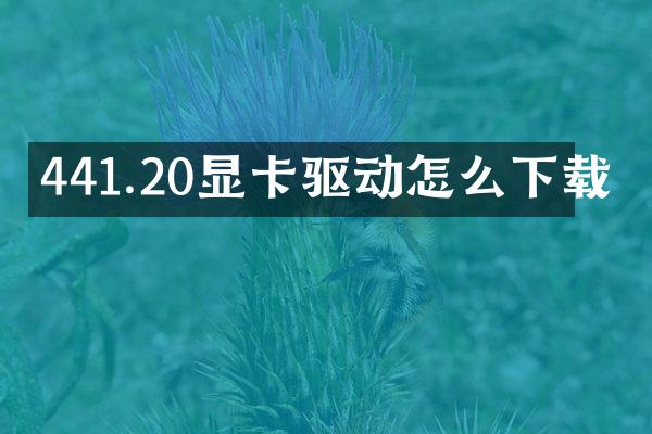 441.20显卡驱动怎么下载