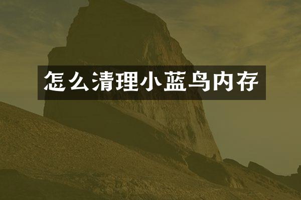 怎么清理小蓝鸟内存