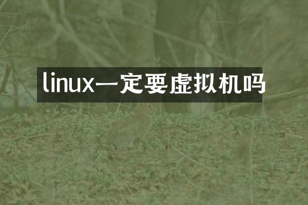 linux一定要虚拟机吗