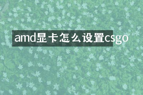amd显卡怎么设置csgo