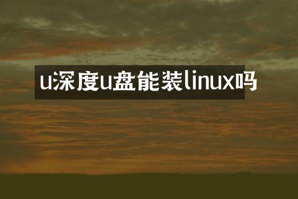 u深度u盘能装linux吗