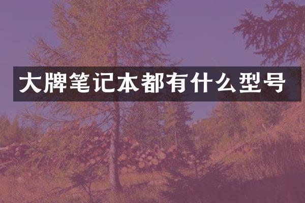 大牌笔记本都有什么型号