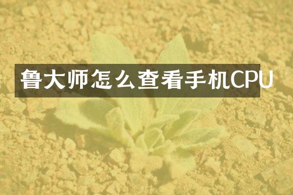 鲁大师怎么查看手机CPU