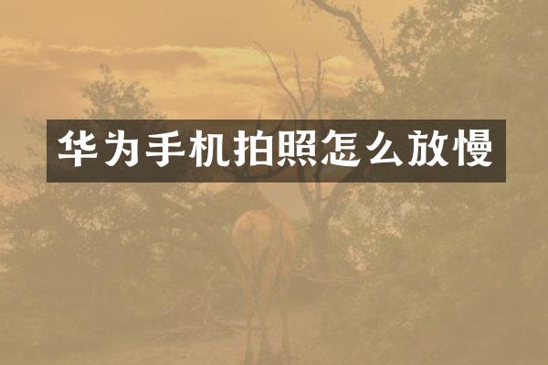 华为手机拍照怎么放慢