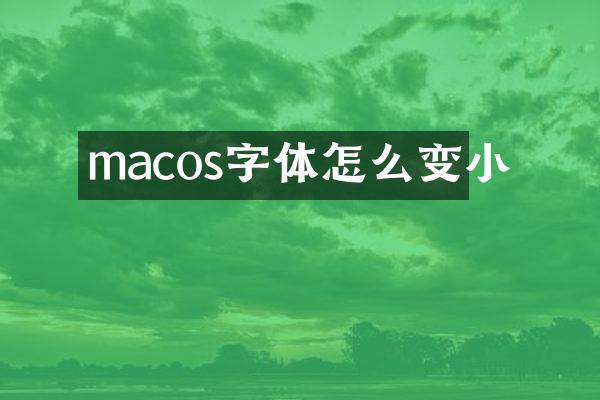 macos字体怎么变小